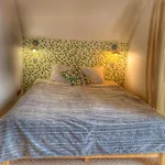 Apartment Dziejba Lesna &spa - Nowe Apartamenty, Sauna I Jacuzzi - W Cenie I Na Wylacznosc,
