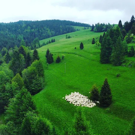 Dziejba Lesna &spa - Piekne I Nowe I Domek, Sauna I Jacuzzi - W Cenie I Na Wylacznosc, 1 Km Od Stoku Apartment *