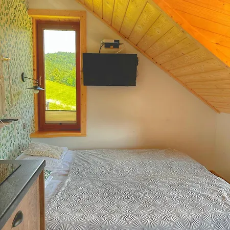 Dziejba Lesna &spa - Piekne I Nowe I Domek, Sauna I Jacuzzi - W Cenie I Na Wylacznosc, 1 Km Od Stoku Apartment *