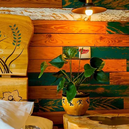 Dziejba Lesna &spa - Nowe Apartamenty, Sauna I Jacuzzi - W Cenie I Na Wylacznosc, *